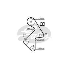 Ремень ГРМ GATES 5202XS 163 x 26.7 Toyota Avensis T220, Camry IV