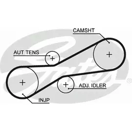 Ремень привода ТНВД (z 81) VW Caravelle/LT 28-46/T4/VOLVO 850/S70/S80 2.5TDi/SDi 95->