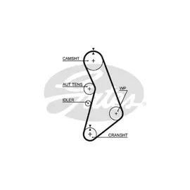 Ремень ГРМ Audi A3/A4/A6/TT / Seat Alhambra/Cordoba/Ibiza/Leon/Toledo / Skoda Octavia/SuperB / VW Bora/Golf/Passat - Gates арт. 5491XS