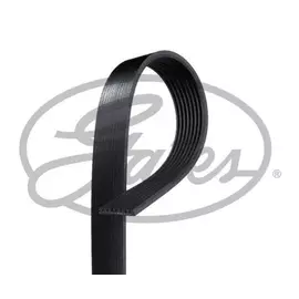 Ремень поликлиновой 8PK1480 MB OM904LA OM906LA Atego GATES