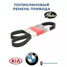 ремень поликлин.! 6PK20x1510 Cat 3406 FRL Century, Hyundai Elantra/Trajet 2.0CRDi 01>