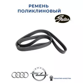 (8653-10405) Ремень ручейковый GATES 6PK1853