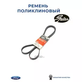 Ремень поликлиновой CHRYSLER Voyager V DODGE Journey mot.3 6L GATES 6PK1955