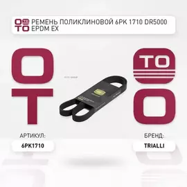 Ремень приводной для а/м Mercedes E (W212) (09-)/C (W204) (04-) 1.6i/2.0i [M274] (6PK1710)