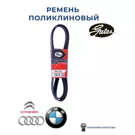 Ремень поликлиновой Alfa Romeo 159 / Audi A3 / BMW E36/E46/Z3 / Citroen C5/Evasion/Xantia/Xsara / Ford Fiesta / Mazda 121 / Peugeot 206 / Skoda Octavia/Roomster / VW
