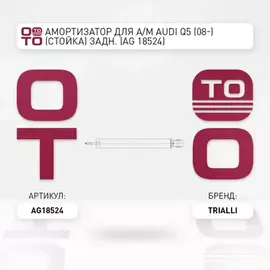 Амортизатор для а/м Audi Q5 (08-) (стойка) задн. (AG 18524)