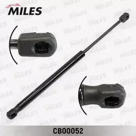 Амортизатор крышки багажника RENAULT DUSTER (Lesjofors 81 170 02) CB00052