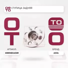 СТУПИЦА ЗАДНЯЯ (ASVA)