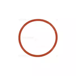 Прокладка впускного коллектора BMW 3 (E46,E92),5 (E60,E61) 717754600 (1шт)