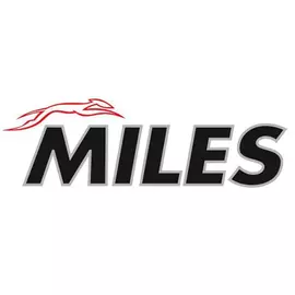 DB62520 Рычаг MILES для OPEL MOKKA 13- пер.подв.лев.