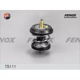 Термостат ( 95 c) с уплотнительным кольцом Fenox TS111 - FENOX арт. TS111