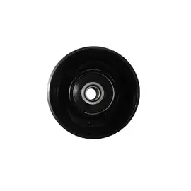 Ролик ремня приводного NISSAN QASHQAI 06-/TIIDA 05- (SKF VKM62022) AG03356