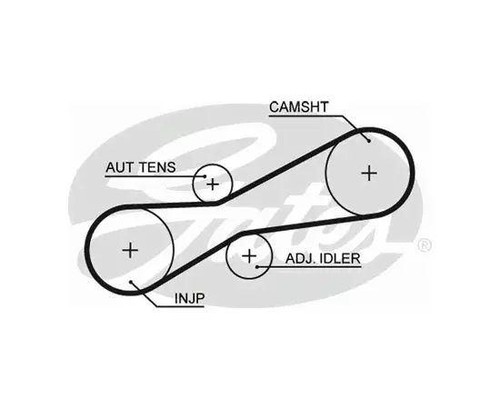 Ремень привода ТНВД (z 81) VW Caravelle/LT 28-46/T4/VOLVO 850/S70/S80 2.5TDi/SDi 95->