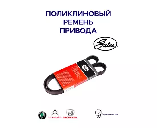 Ремень поликлиновый HONDA ACCORD F20B/NISSAN AD 99-08 QG18DE/BLUEBIRD SYLPHY G10 00-05/VW TIGUAN 11