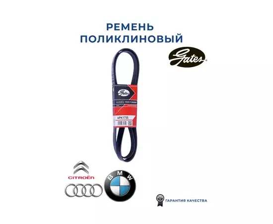 Ремень поликлиновой Alfa Romeo 159 / Audi A3 / BMW E36/E46/Z3 / Citroen C5/Evasion/Xantia/Xsara / Ford Fiesta / Mazda 121 / Peugeot 206 / Skoda Octavia/Roomster / VW