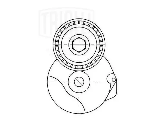 Ролик приводного ремня с натяжым механизмом BMW X5 (10-) 3.0d генератора, CM 5286