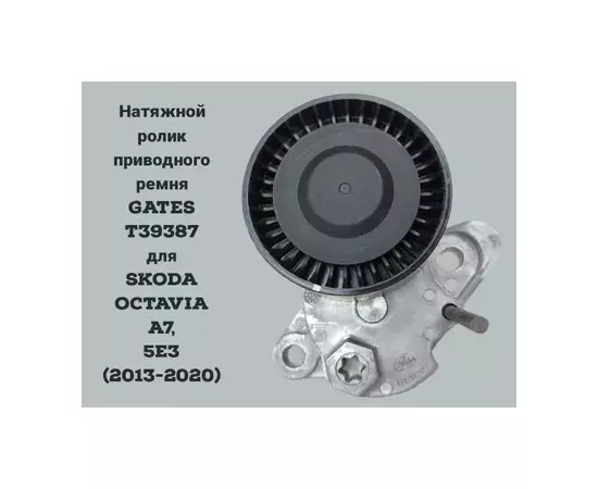 04E145299E Ролик натяжной! VW UP/Polo 1.0i 09>/Golf VII/Jetta 1.6i 08>