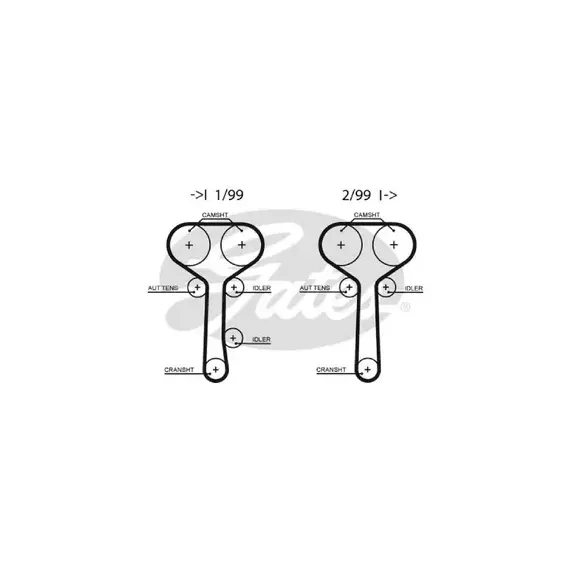 Ремень ГРМ GATES 5508XS /859715508/ FORD Focus/Mondeo 1.6-2.0 16V 98-/Transit 1.8 16V 02-