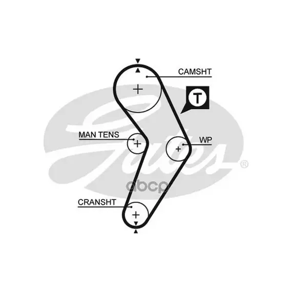 Ремень ГРМ 095SP170H RENAULT Megane (BA0/1_)Megane Cabriolet (EA0/1_)Megane Classic (LA0/1_)Megane C