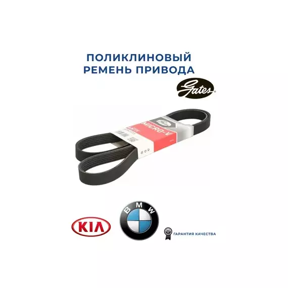 ремень поликлин.! 6PK20x1510 Cat 3406 FRL Century, Hyundai Elantra/Trajet 2.0CRDi 01>