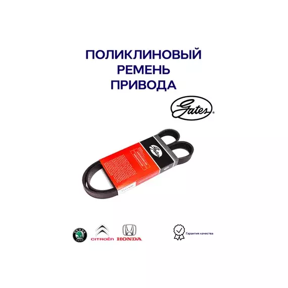 Ремень поликлиновый HONDA ACCORD F20B/NISSAN AD 99-08 QG18DE/BLUEBIRD SYLPHY G10 00-05/VW TIGUAN 11