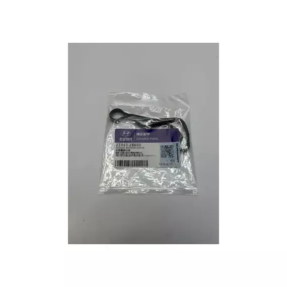 Прокладка клапанной крышки HYUNDAI/KIA 224432B600