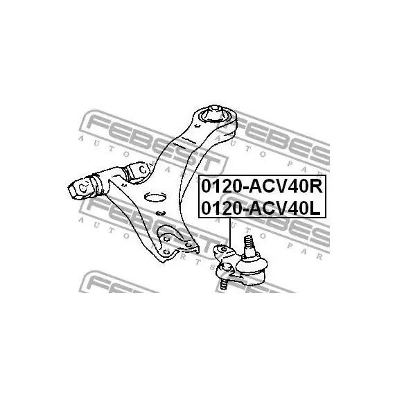 Опора шаровая нижнего рычага перед прав Febest 0120-ACV40R