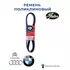Ремень поликлиновой Alfa Romeo 159 / Audi A3 / BMW E36/E46/Z3 / Citroen C5/Evasion/Xantia/Xsara / Ford Fiesta / Mazda 121 / Peugeot 206 / Skoda Octavia/Roomster / VW